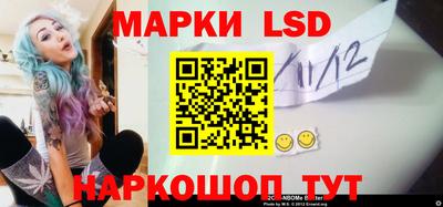 шишки Можга