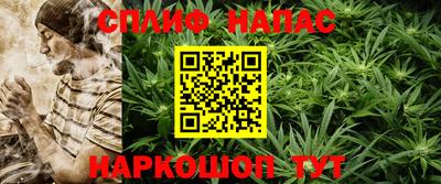 шишки Можга