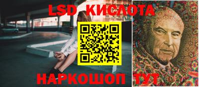 шишки Можга