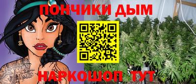 шишки Моздок