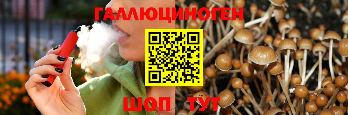 Великий Новгород  Псилоцибиновые грибы Psilocybe  Вход с VPN  Галлюциногенные грибы Cubensis 